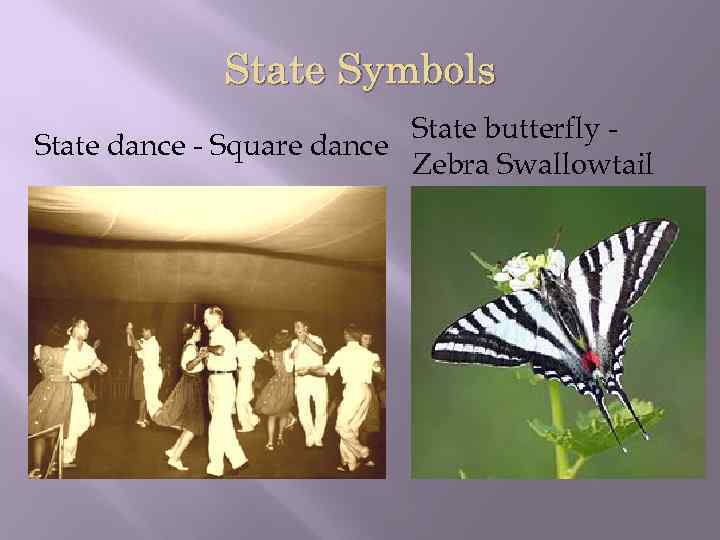 State Symbols State butterfly State dance - Square dance Zebra Swallowtail 