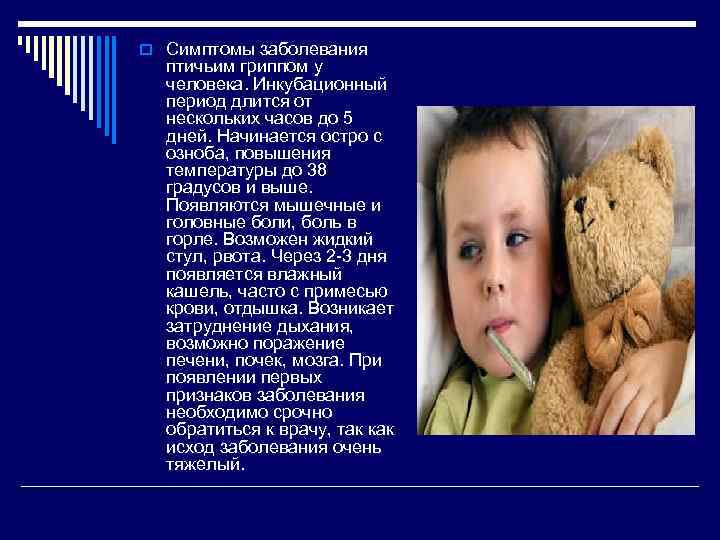 o Симптомы заболевания птичьим гриппом у человека. Инкубационный период длится от нескольких часов до