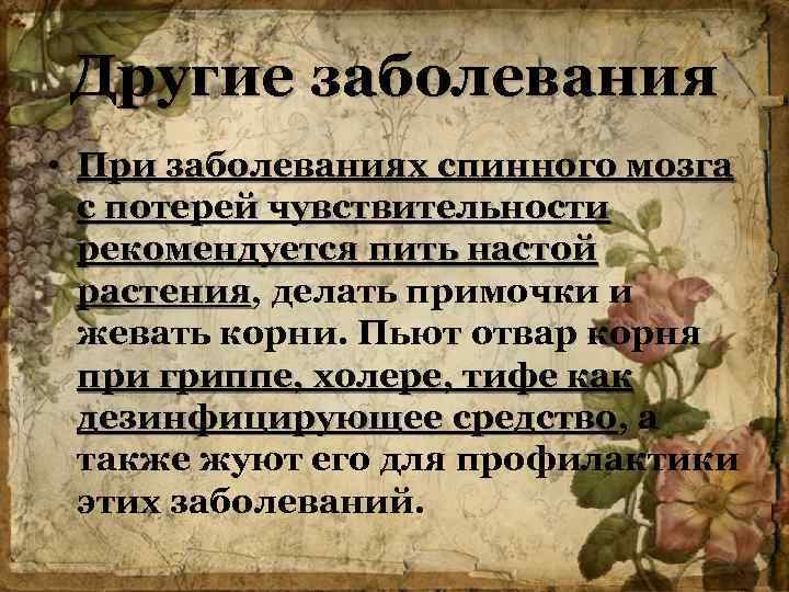 Другие заболевания • При заболеваниях спинного мозга с потерей чувствительности рекомендуется пить настой растения,