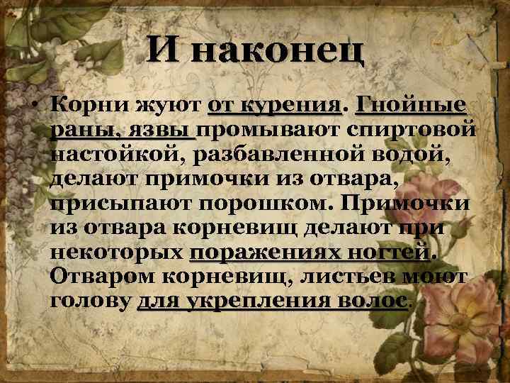 И наконец • Корни жуют от курения. Гнойные курения раны, язвы промывают спиртовой настойкой,