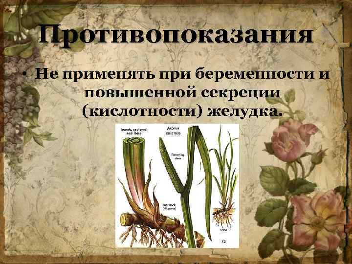 Противопоказания • Не применять при беременности и повышенной секреции (кислотности) желудка. 