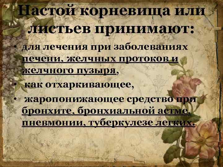 Настой корневища или листьев принимают: • для лечения при заболеваниях печени, желчных протоков и