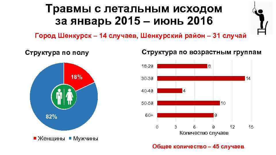 Травмы с летальным исходом за январь 2015 – июнь 2016 Город Шенкурск – 14