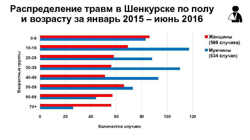 Распределение травм в Шенкурске по полу и возрасту за январь 2015 – июнь 2016