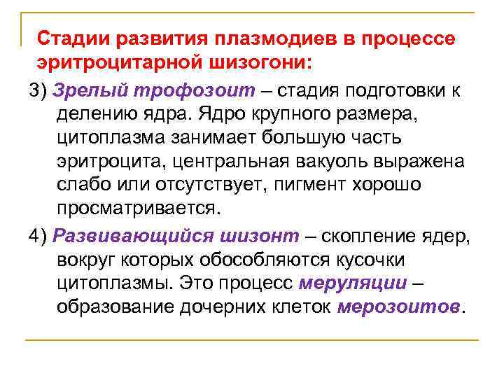 Стадии развития плазмодиев в процессе эритроцитарной шизогони: 3) Зрелый трофозоит – стадия подготовки к