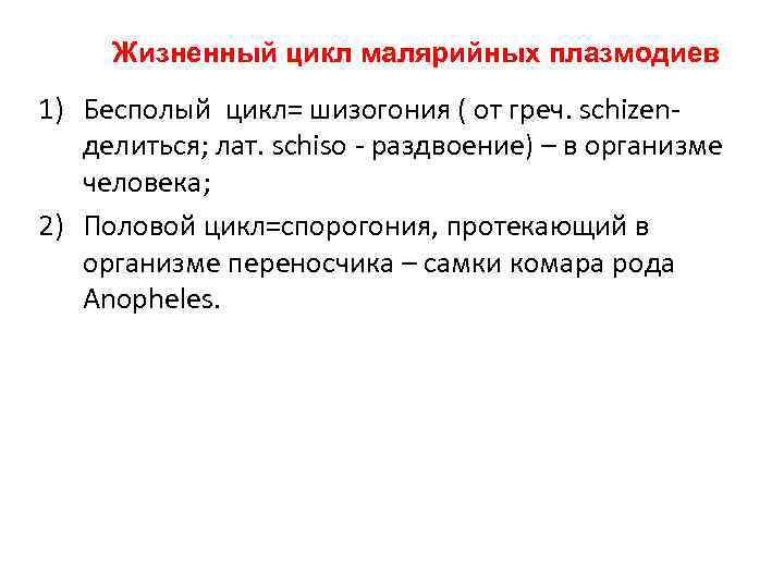 Жизненный цикл малярийных плазмодиев 1) Бесполый цикл= шизогония ( от греч. sсhizenделиться; лат. schiso