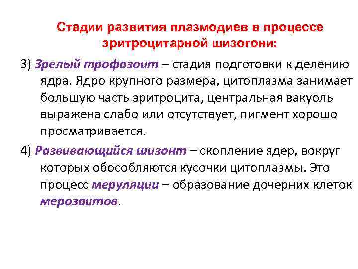 Стадии развития плазмодиев в процессе эритроцитарной шизогони: 3) Зрелый трофозоит – стадия подготовки к