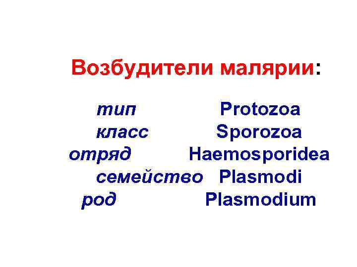 Возбудители малярии: тип Protozoa класс Sporozoa отряд Haemosporidea семейство Plasmodi poд Plasmodium 