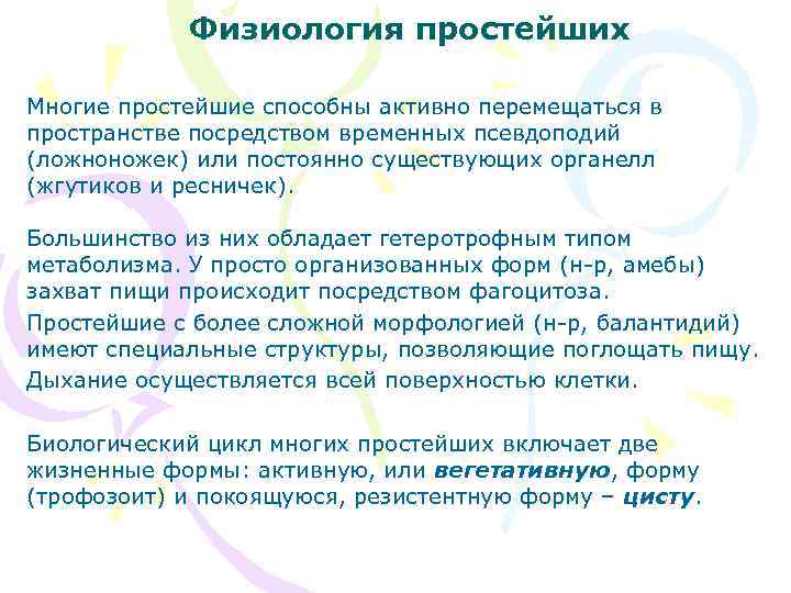 Физиология простейших Многие простейшие способны активно перемещаться в пространстве посредством временных псевдоподий (ложноножек) или