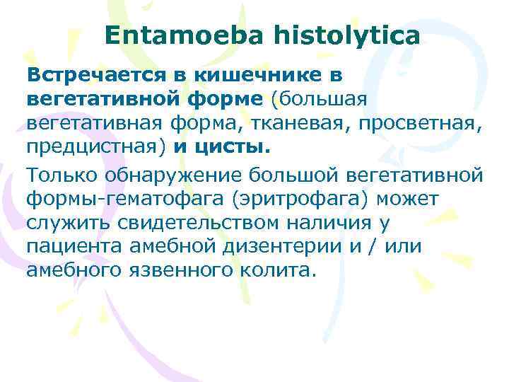 Entamoeba histolytica Встречается в кишечнике в вегетативной форме (большая вегетативная форма, тканевая, просветная, предцистная)