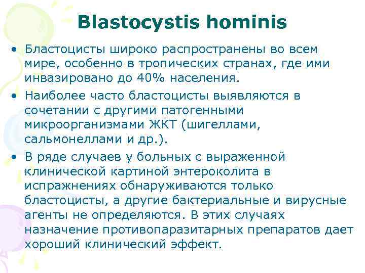 Blastocystis hominis • Бластоцисты широко распространены во всем мире, особенно в тропических странах, где