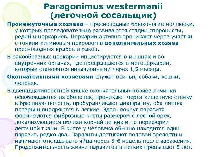 Paragonimus westermanii (легочной сосальщик) Промежуточные хозяева – пресноводные брюхоногие моллюски, у которых последовательно развиваются