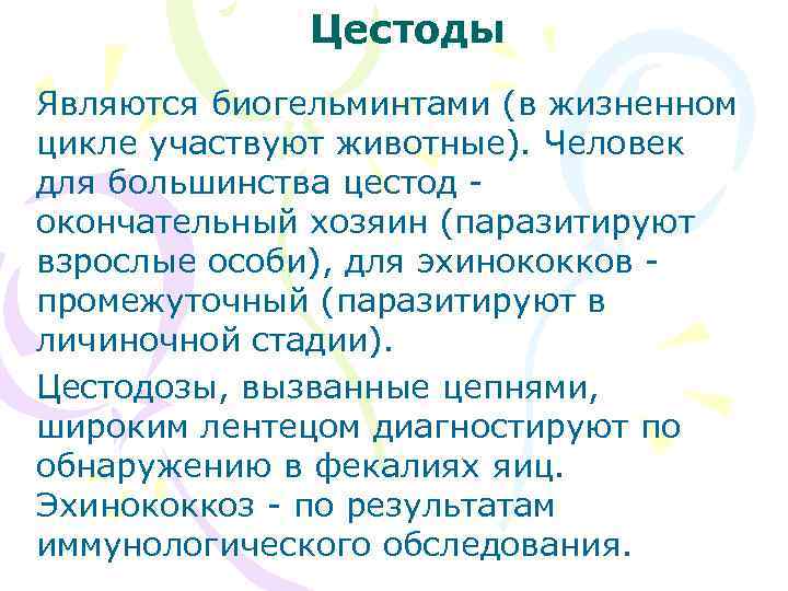 Цестоды Являются биогельминтами (в жизненном цикле участвуют животные). Человек для большинства цестод - окончательный