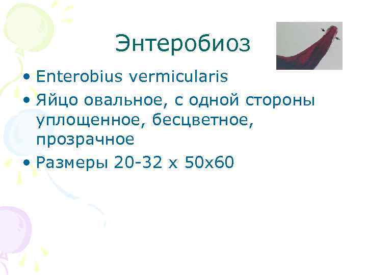 Энтеробиоз • Enterobius vermicularis • Яйцо овальное, с одной стороны уплощенное, бесцветное, прозрачное •