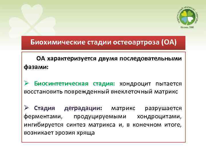 Биохимические стадии остеоартроза (ОА) ОА характеризуется двумя последовательными фазами: Ø Биосинтетическая стадия: хондроцит пытается