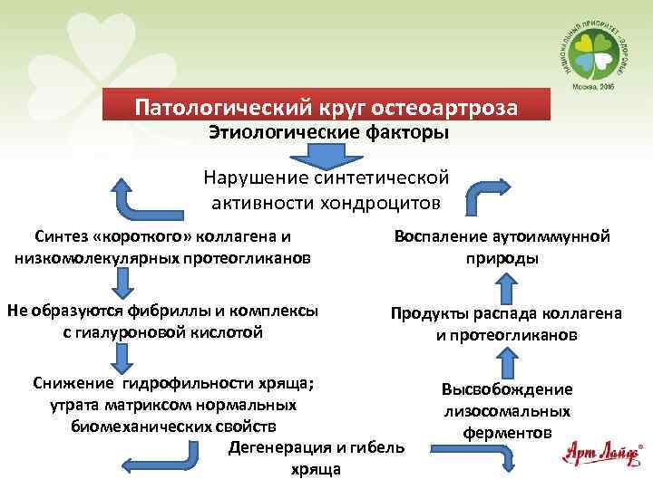 Патологический круг остеоартроза Этиологические факторы Нарушение синтетической активности хондроцитов Синтез «короткого» коллагена и низкомолекулярных