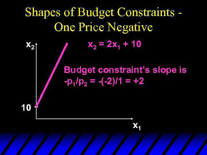 Shapes of Budget Constraints One Price Negative x 2 = 2 x 1 +