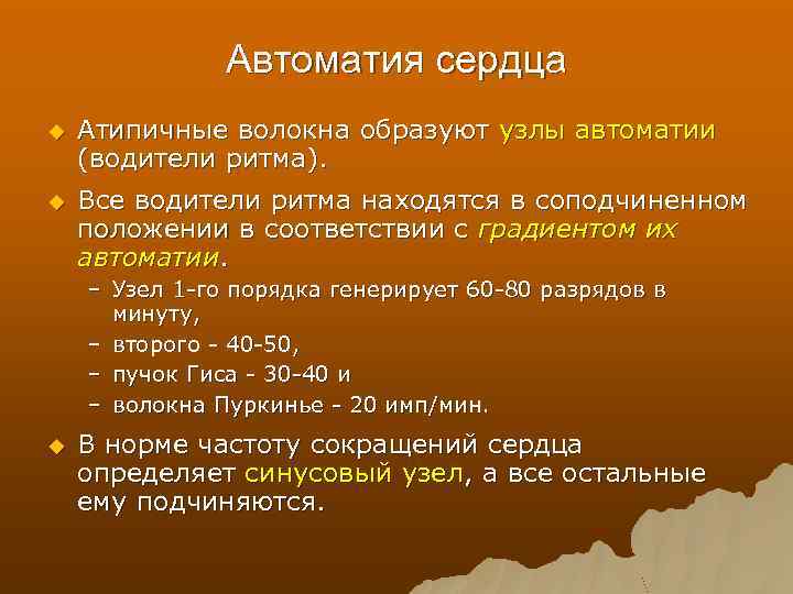 Автоматия сердца u Атипичные волокна образуют узлы автоматии (водители ритма). u Все водители ритма