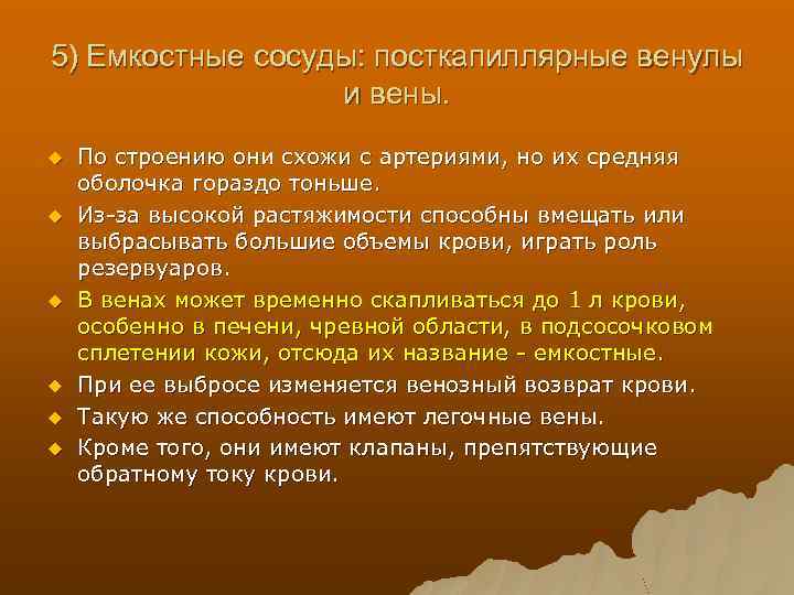 5) Емкостные сосуды: посткапиллярные венулы и вены. u u u По строению они схожи
