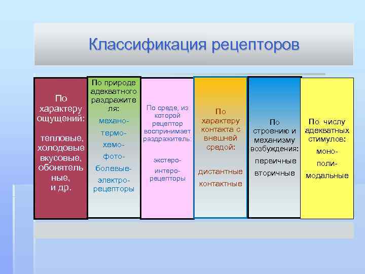 Классификация рецепторов По характеру ощущений: тепловые, холодовые вкусовые, обонятель ные, и др. По природе