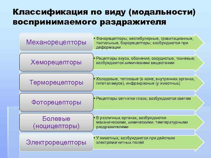 Классификация по виду (модальности) воспринимаемого раздражителя Механорецепторы • Фонорецепторы, вестибулярные, гравитационные, тактильные, барорецепторы; возбуждаются