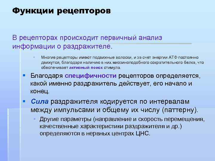 Функции рецепторов В рецепторах происходит первичный анализ информации о раздражителе. § Многие рецепторы имеют