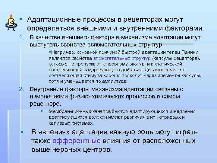 § Адаптационные процессы в рецепторах могут определяться внешними и внутренними факторами. 1. В качестве