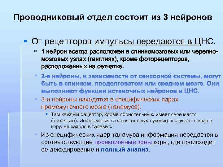 Проводниковый отдел состоит из 3 нейронов § От рецепторов импульсы передаются в ЦНС. §