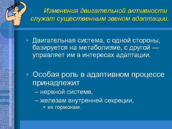 Изменения двигательной активности служат существенным звеном адаптации. • Двигательная система, с одной стороны, базируется