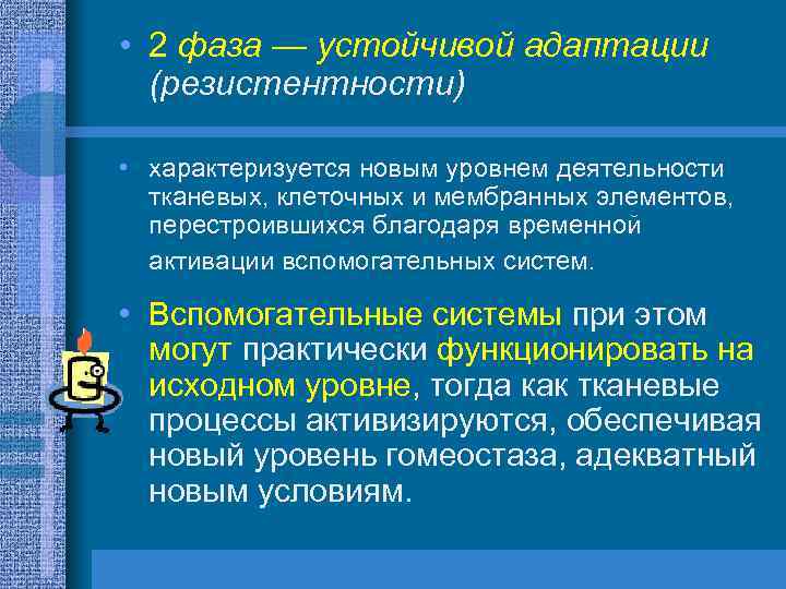  • 2 фаза — устойчивой адаптации (резистентности) • характеризуется новым уровнем деятельности тканевых,