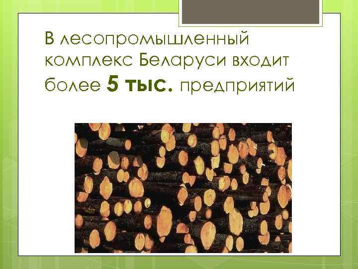 В лесопромышленный комплекс Беларуси входит более 5 тыс. предприятий 