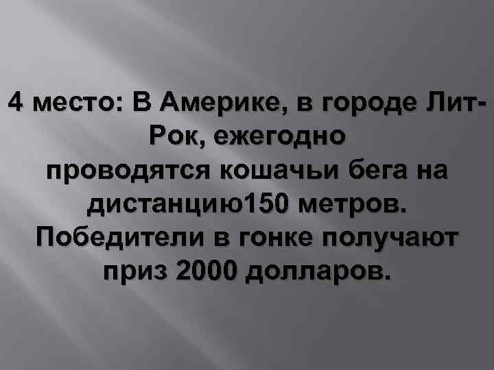 4 место: В Америке, в городе Лит. Рок, ежегодно проводятся кошачьи бега на дистанцию150