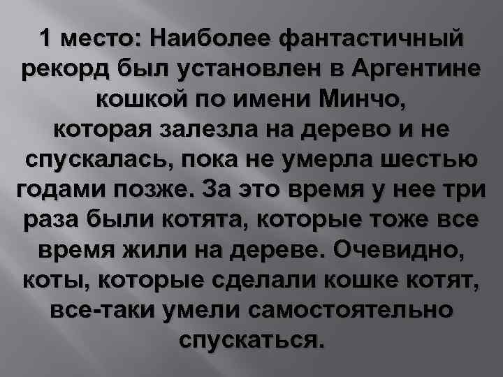 1 место: Наиболее фантастичный рекорд был установлен в Аргентине кошкой по имени Минчо, которая