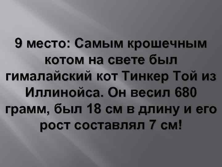 9 место: Самым крошечным котом на свете был гималайский кот Тинкер Той из Иллинойса.