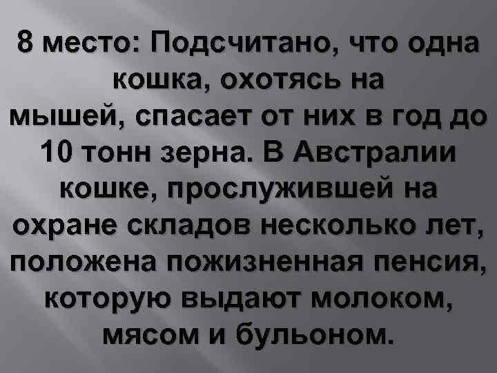 8 место: Подсчитано, что одна кошка, охотясь на мышей, спасает от них в год