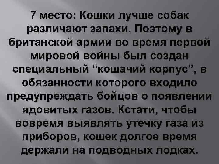 7 место: Кошки лучше собак различают запахи. Поэтому в британской армии во время первой