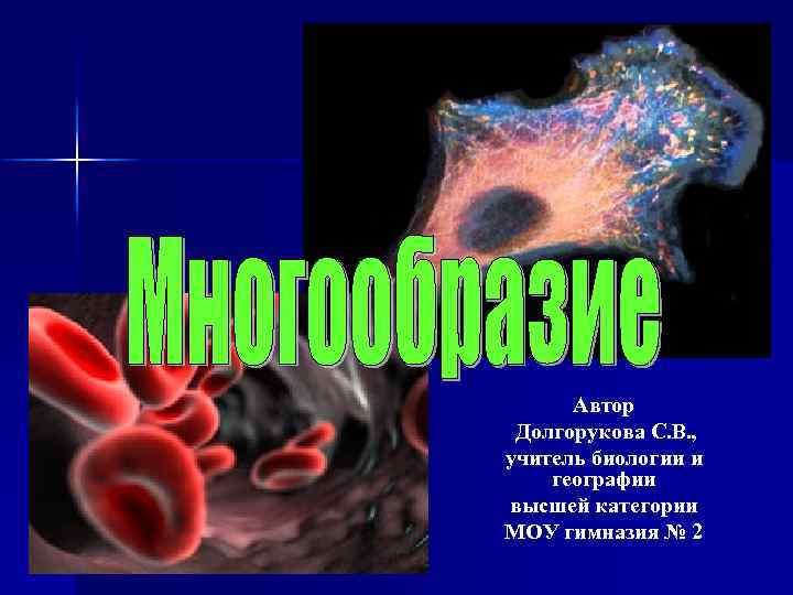 Автор Долгорукова С. В. , учитель биологии и географии высшей категории МОУ гимназия №