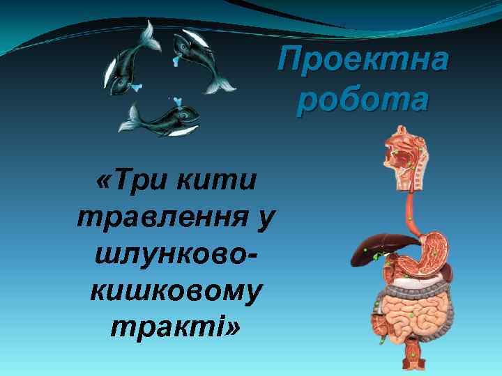 Проектна робота «Три кити травлення у шлунковокишковому тракті» 