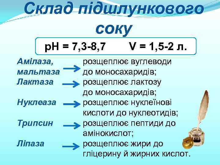 Склад підшлункового соку р. Н = 7, 3 -8, 7 Амілаза, мальтаза Лактаза Нуклеаза