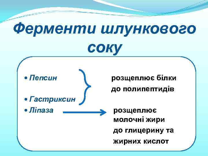 Ферменти шлункового соку • Пепсин • Гастриксин • Ліпаза розщеплює білки до полипептидів розщеплює