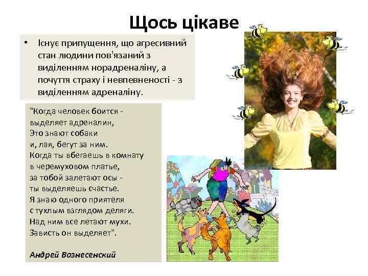 Щось цікаве • Існує припущення, що агресивний стан людини пов'язаний з виділенням норадреналіну, а