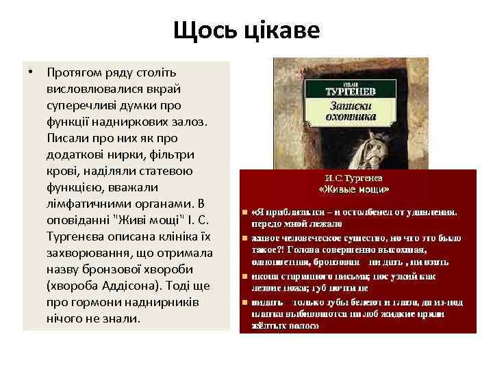 Щось цікаве • Протягом ряду століть висловлювалися вкрай суперечливі думки про функції надниркових залоз.