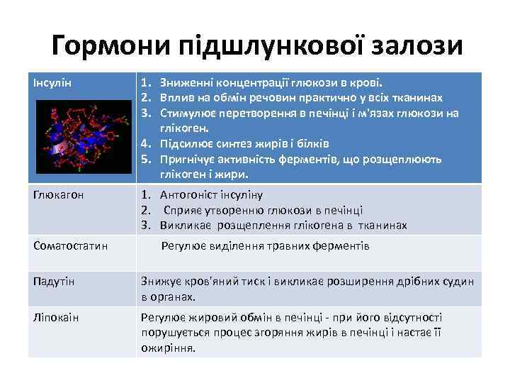 Гормони підшлункової залози Інсулін 1. Зниженні концентрації глюкози в крові. 2. Вплив на обмін