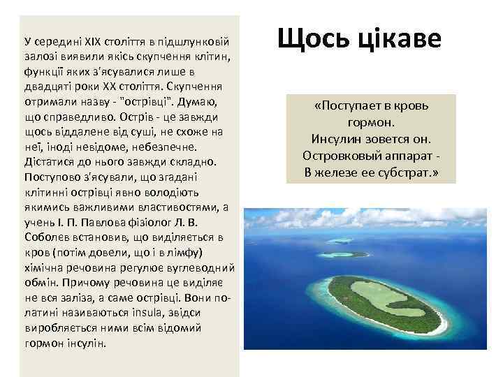 У середині XIX століття в підшлунковій залозі виявили якісь скупчення клітин, функції яких з'ясувалися