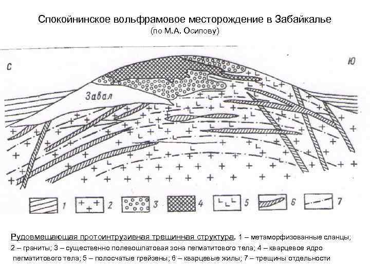 Спокойнинское вольфрамовое месторождение в Забайкалье (по М. А. Осипову) Рудовмещающая протоинтрузивная трещинная структура. 1