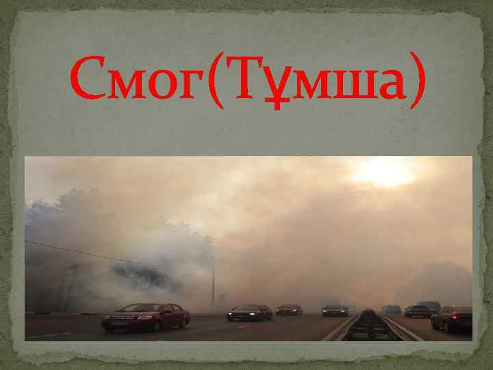 Смог презентация по биологии