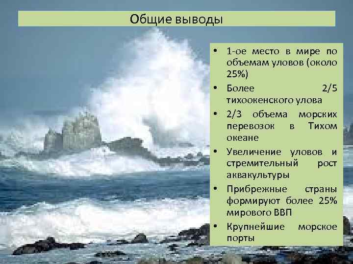 Общие выводы • 1 -ое место в мире по объемам уловов (около 25%) •