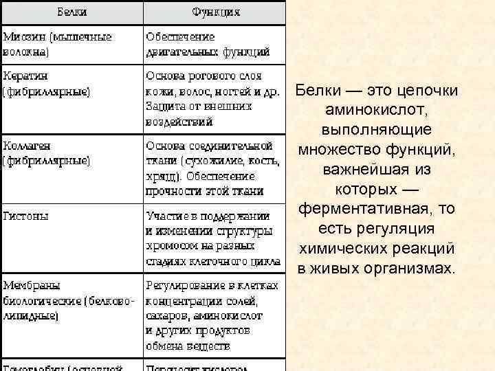 Белки — это цепочки аминокислот, выполняющие множество функций, важнейшая из которых — ферментативная, то