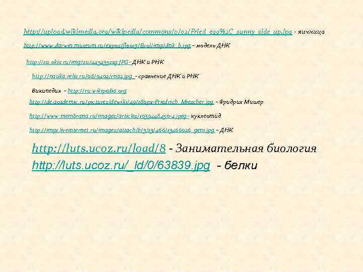 http: //upload. wikimedia. org/wikipedia/commons/0/02/Fried_egg%2 C_sunny_side_up. jpg - яичница http: //www. darwin. museum. ru/expos/floor 3/Evol/img/dnk_b.