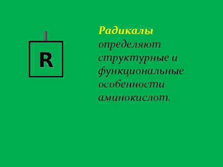 Радикалы определяют структурные и функциональные особенности аминокислот. 